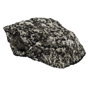 Speckled black and white rock with irregular texture on a white background.