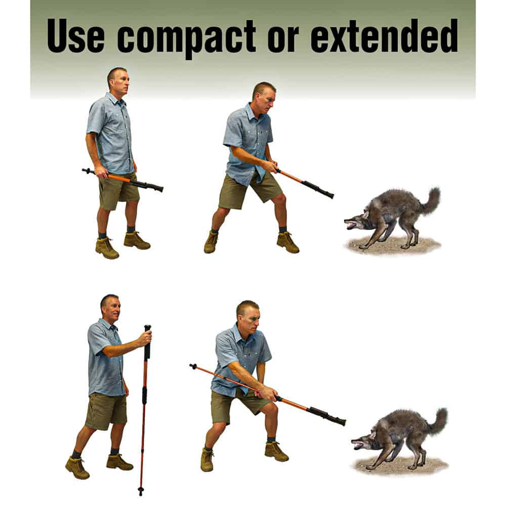 Man demonstrating use of compact or extended walking stick to deter an aggressive animal.