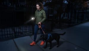 Woman walking black dog at night, using a stun gun flashlight for visibility, wearing a green jacket and orange shoes.